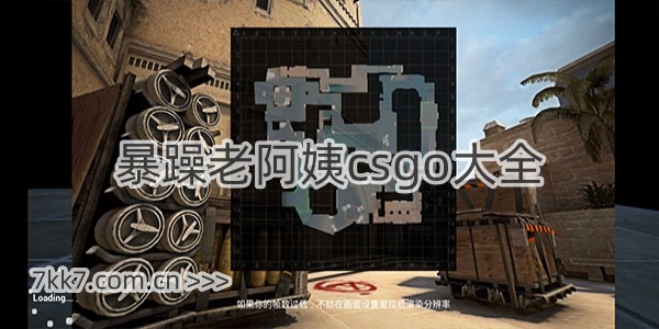 暴躁老阿姨csgo