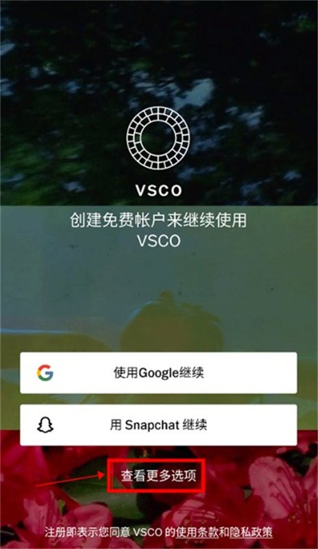 vsco