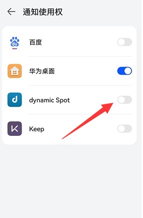 dynamic spot pro