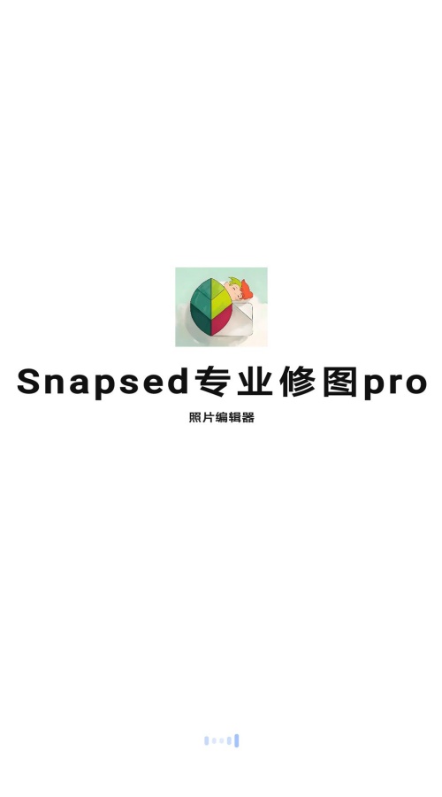 Snapsed专业修图pro