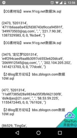 暗月社工库2.0免费查询工具