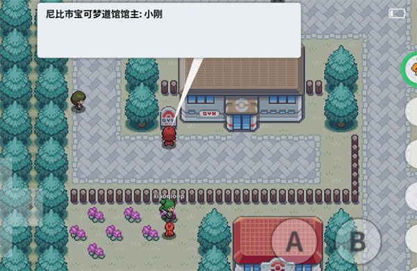 PokeMMO
