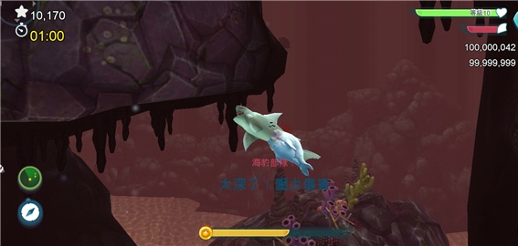 饥饿鲨进化