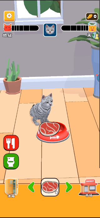 小猫喵喵