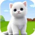 小猫喵喵