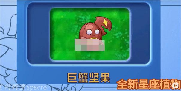 植物大战僵尸星座版