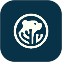 CoralBear