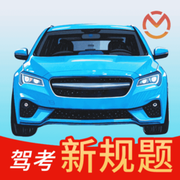 驾车速考